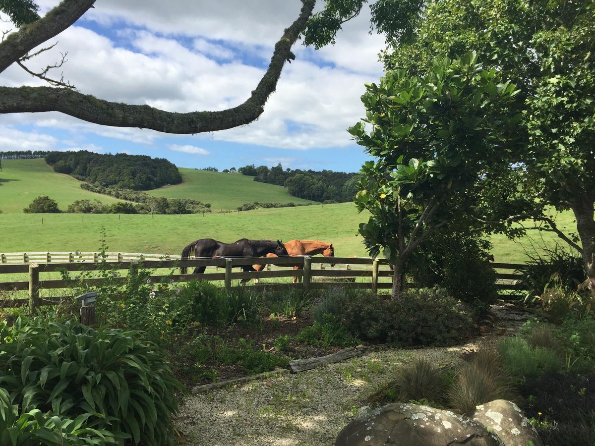 Quail Lodge Nz Snells Beach Zewnętrze zdjęcie